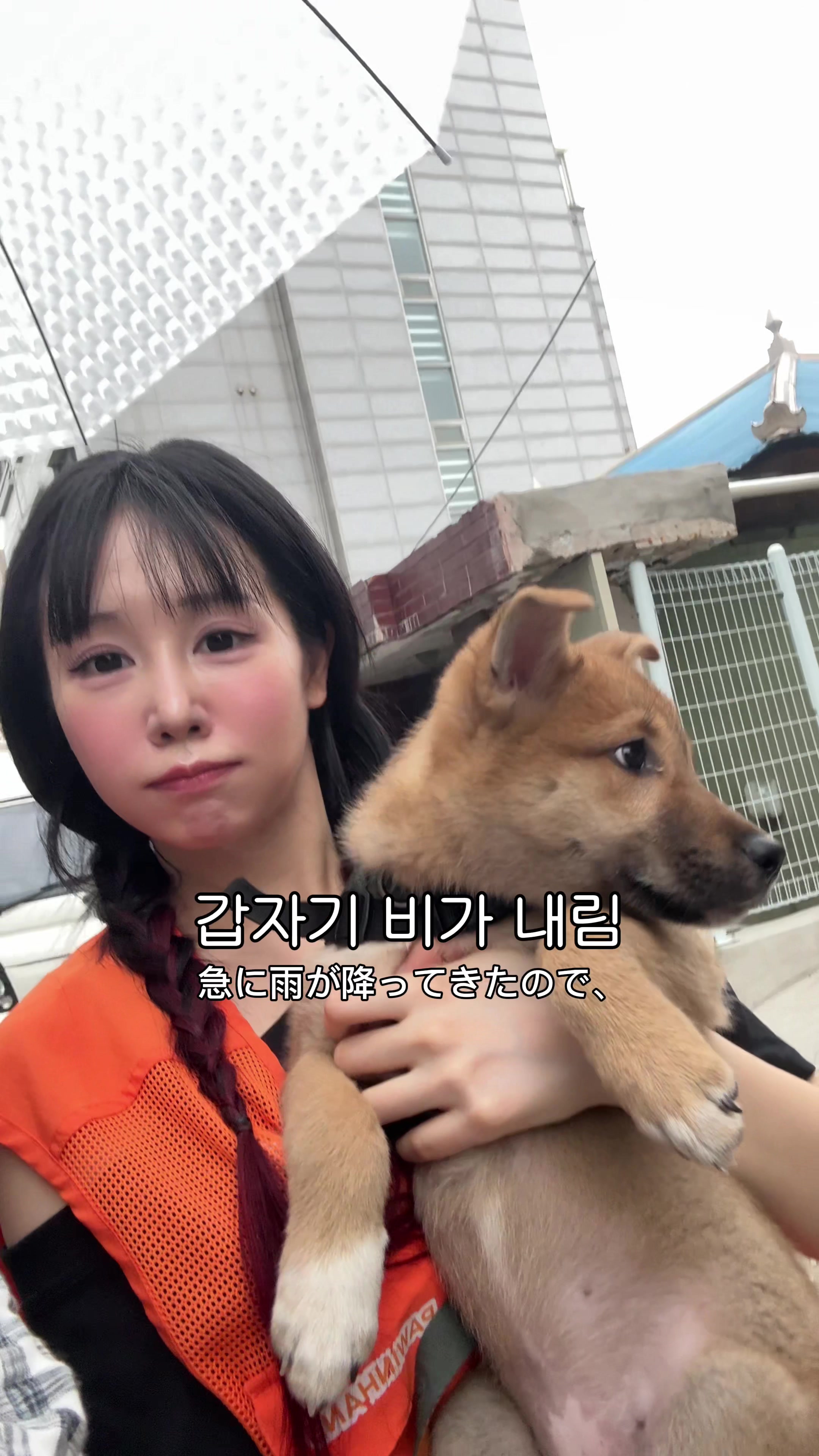@좌두じゃどぅ