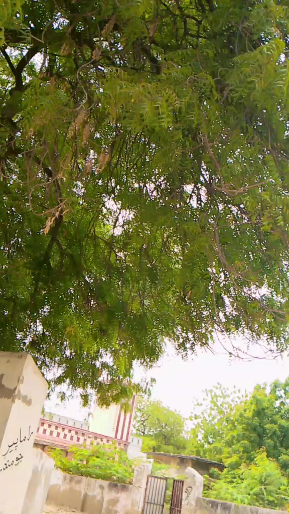 @Azaad Sangi