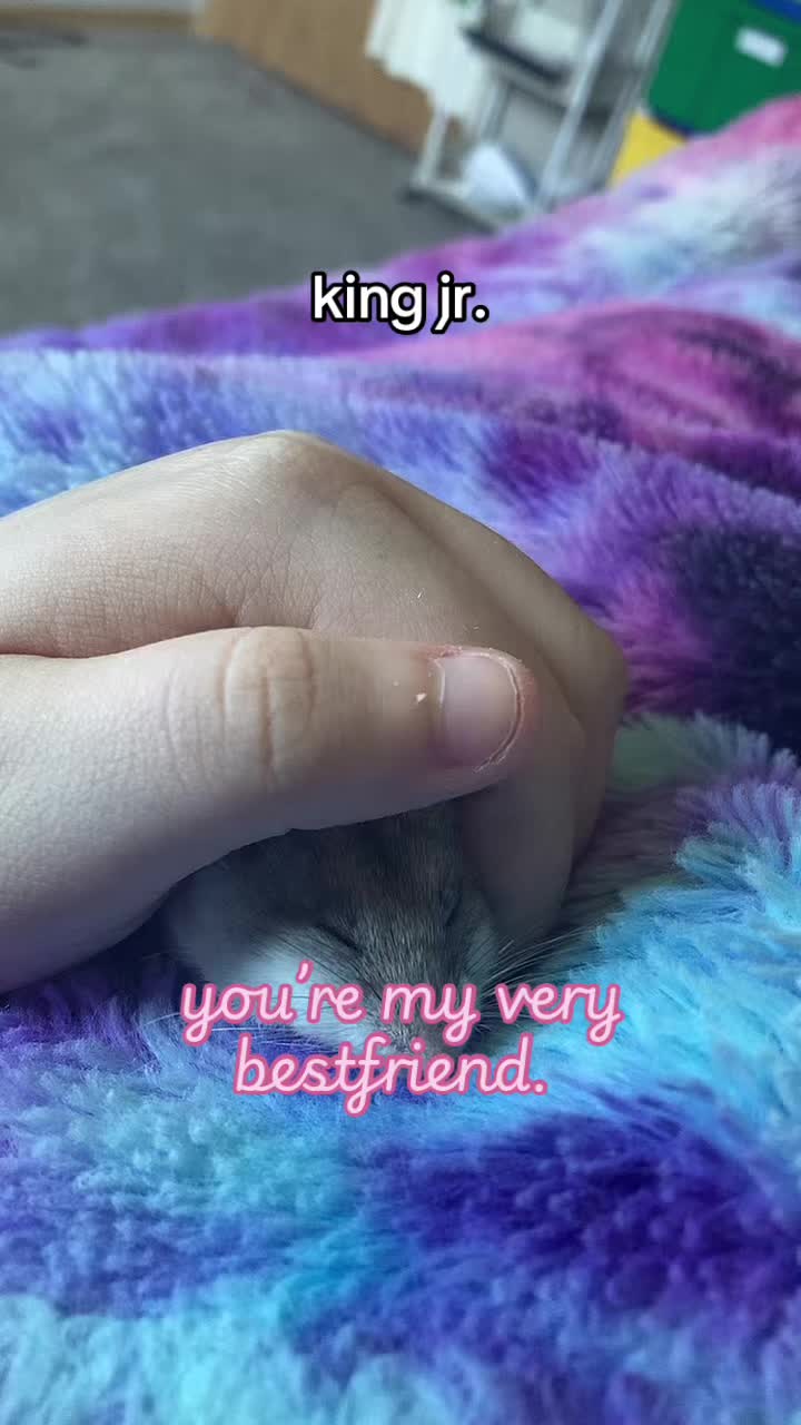 @Inhonorofkingjr