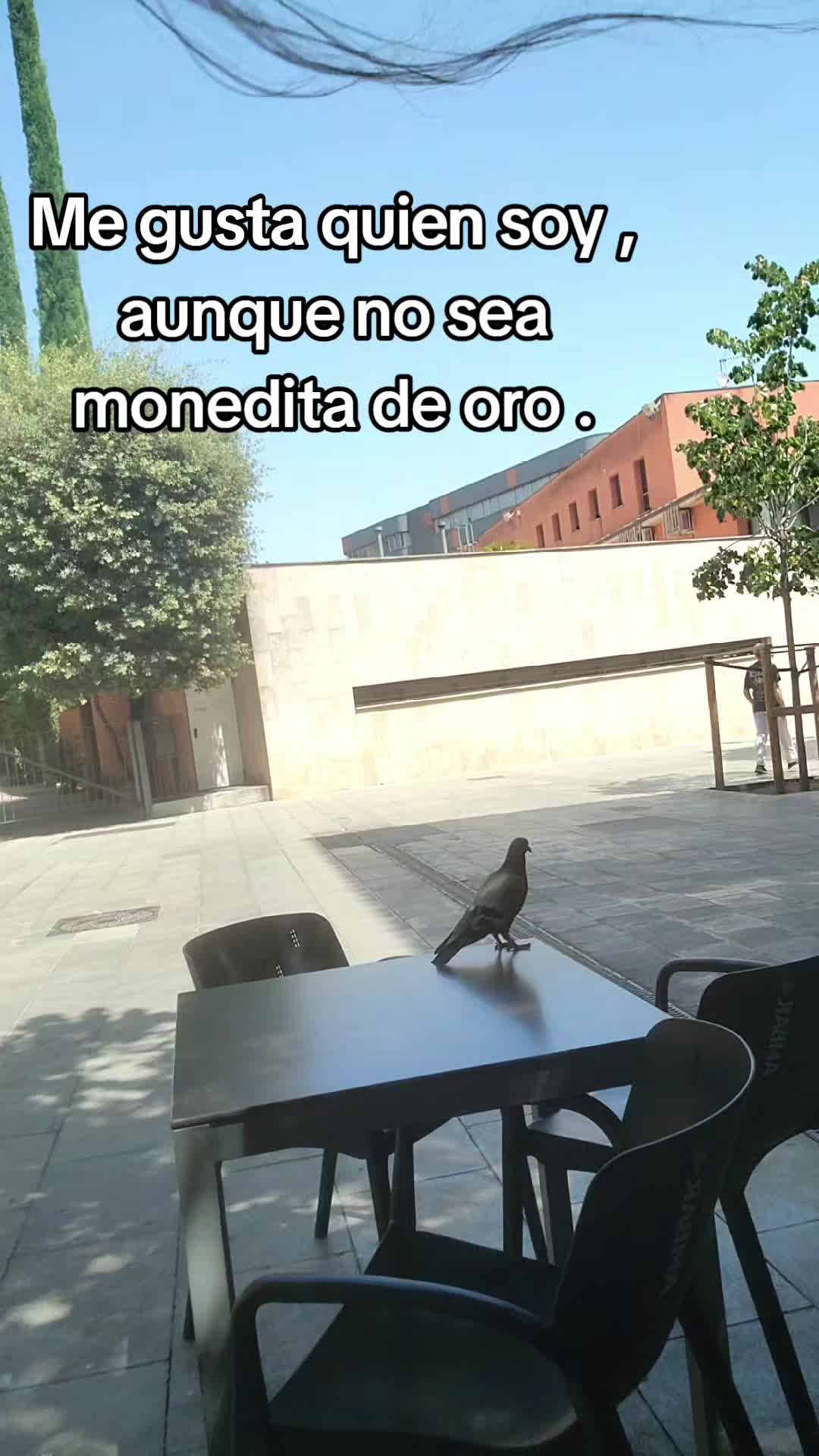 @Zula Gali