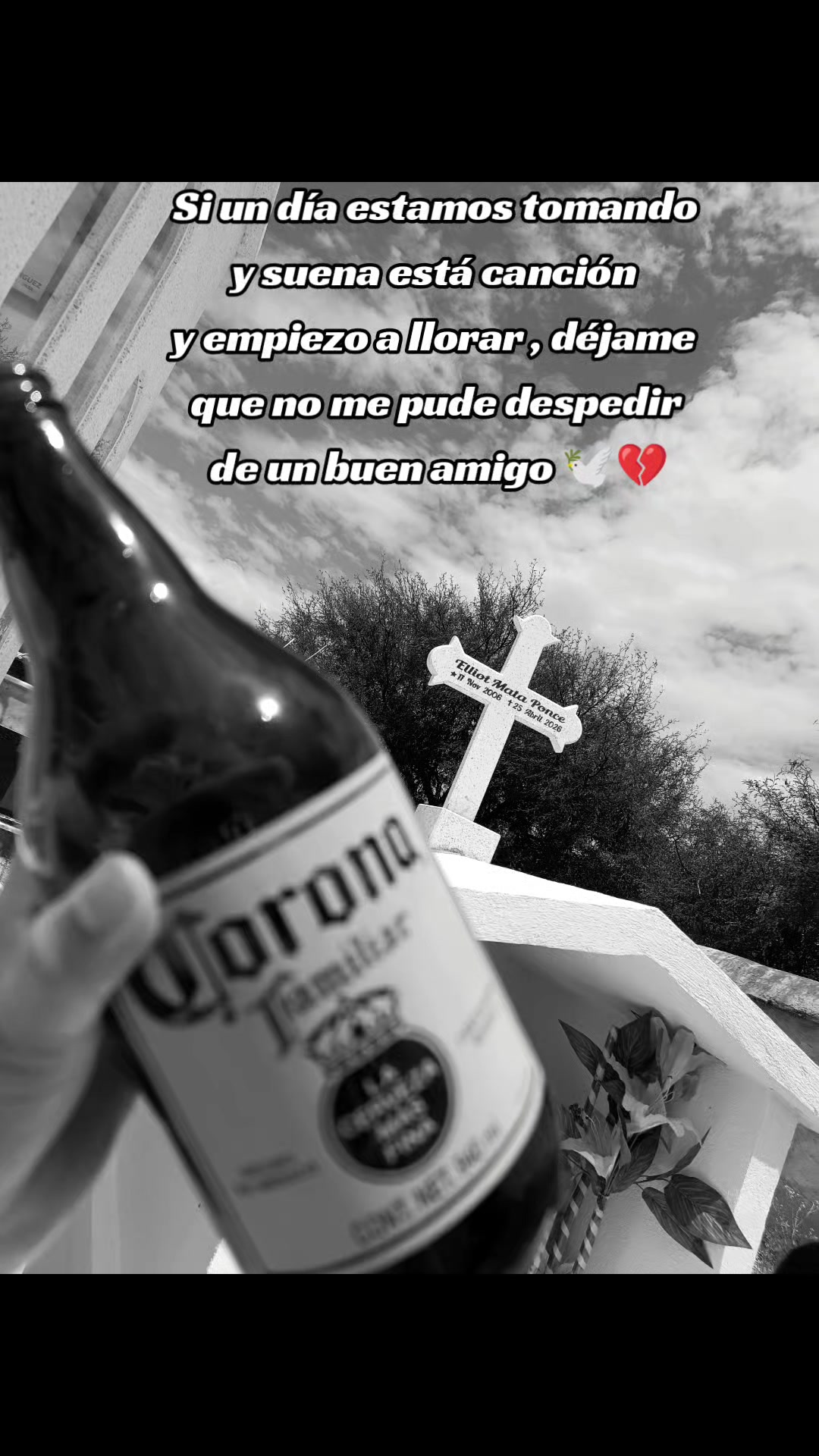 @vaalee 🎀