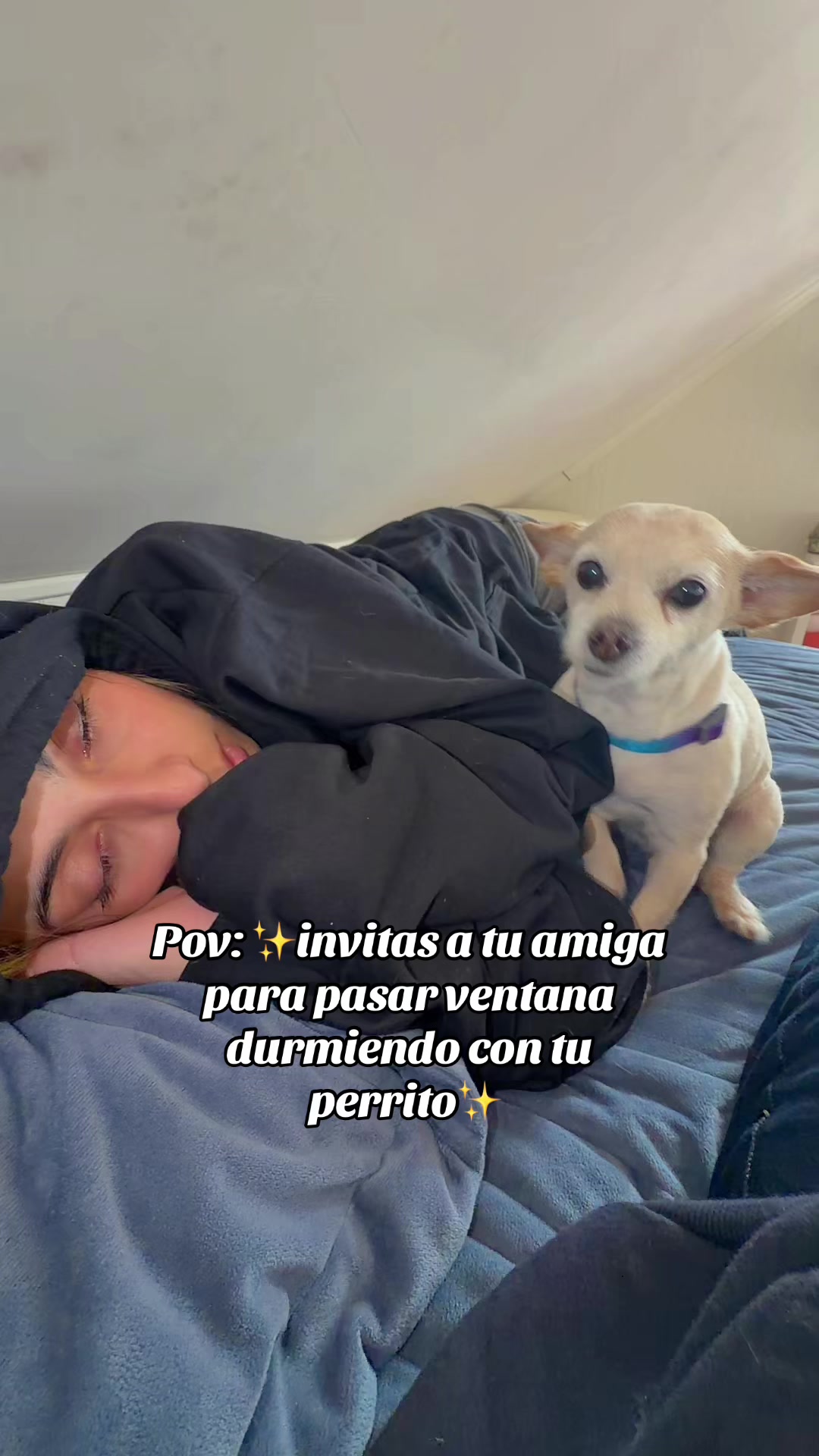 @Florencia zuchel