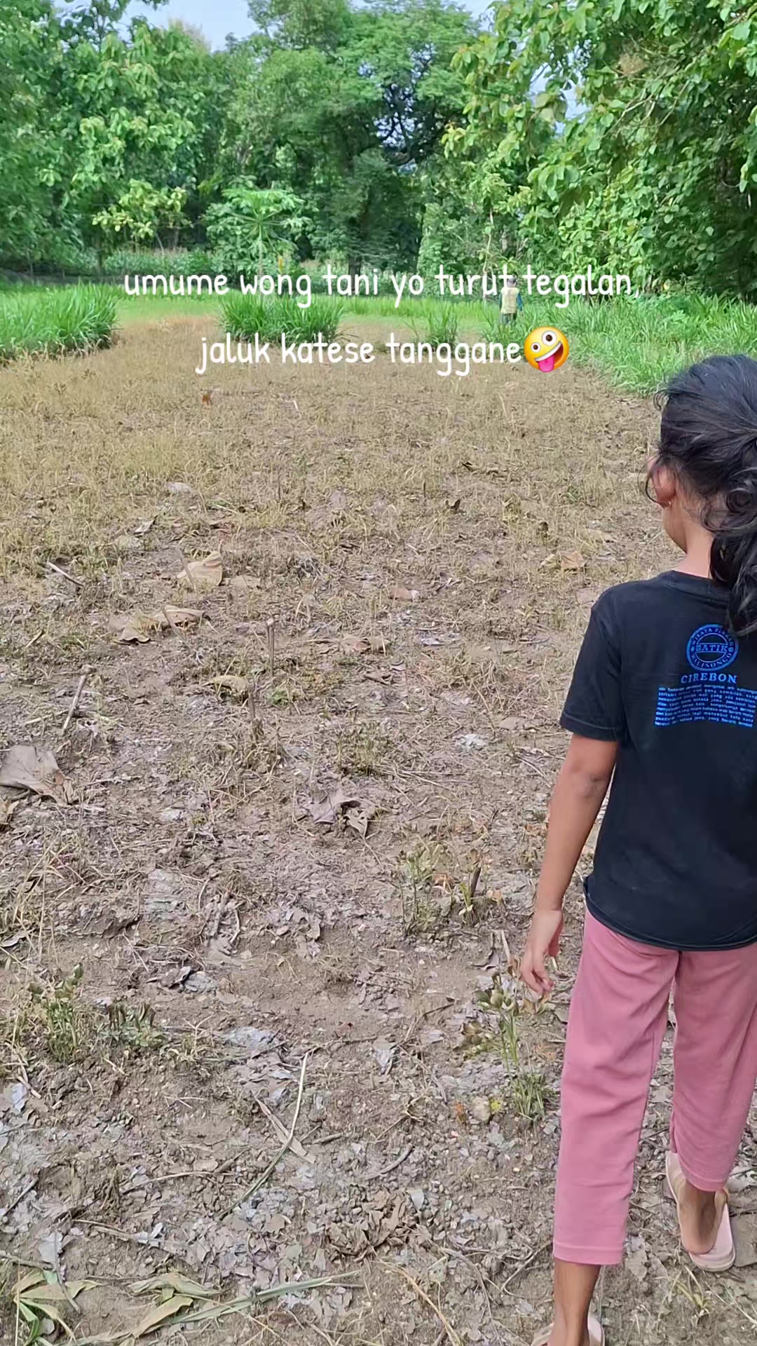 @Anit_🌵