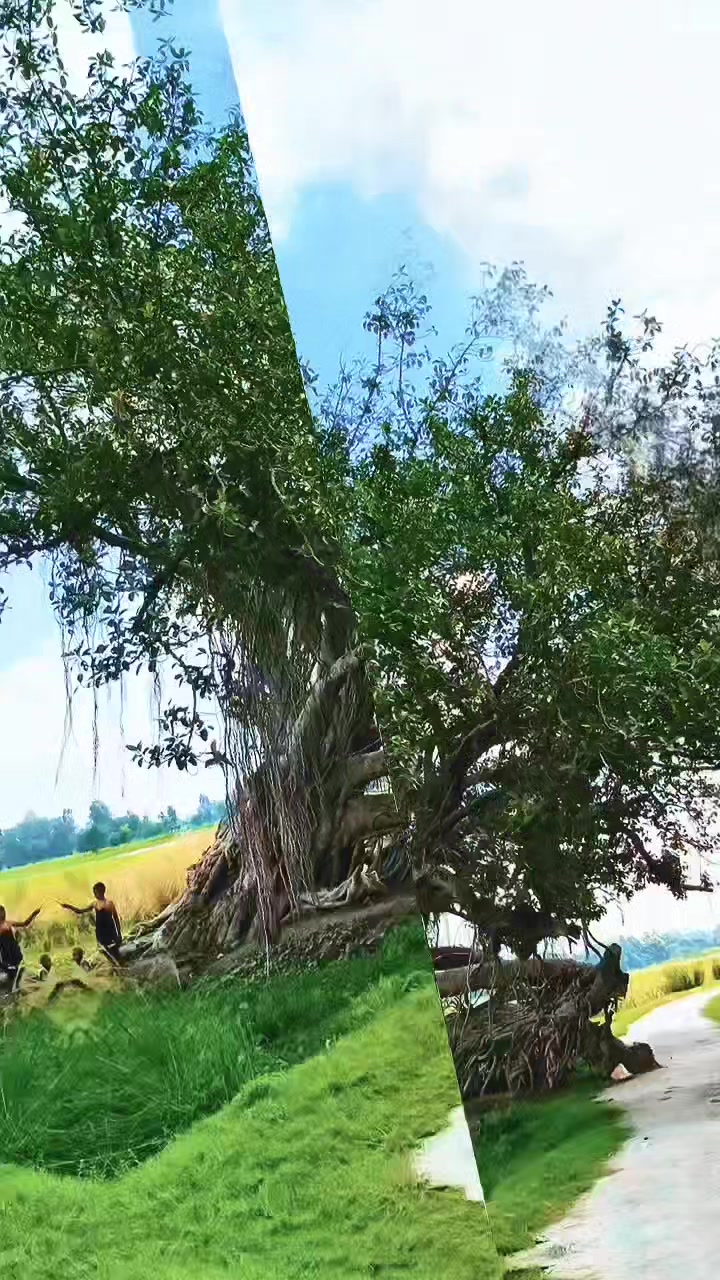 @ᎷᏋᏂᏖᏗᏰ ᏦᏂᏗᏁ