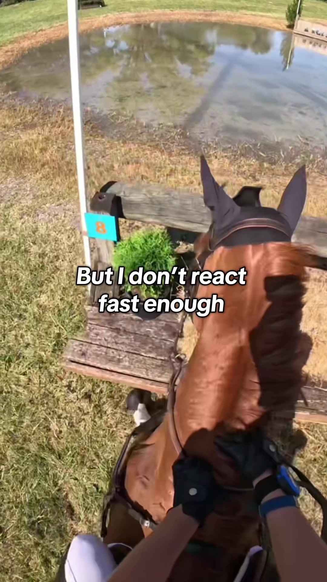 @Bennett Sisters Eventing