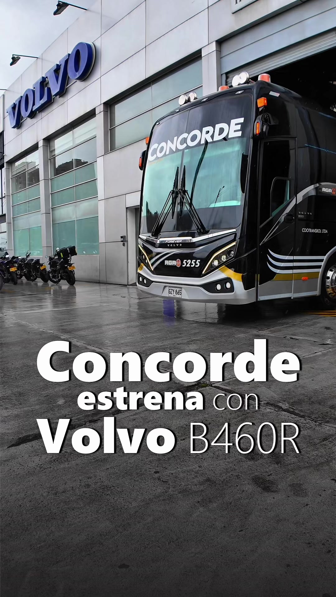 @Latinobus