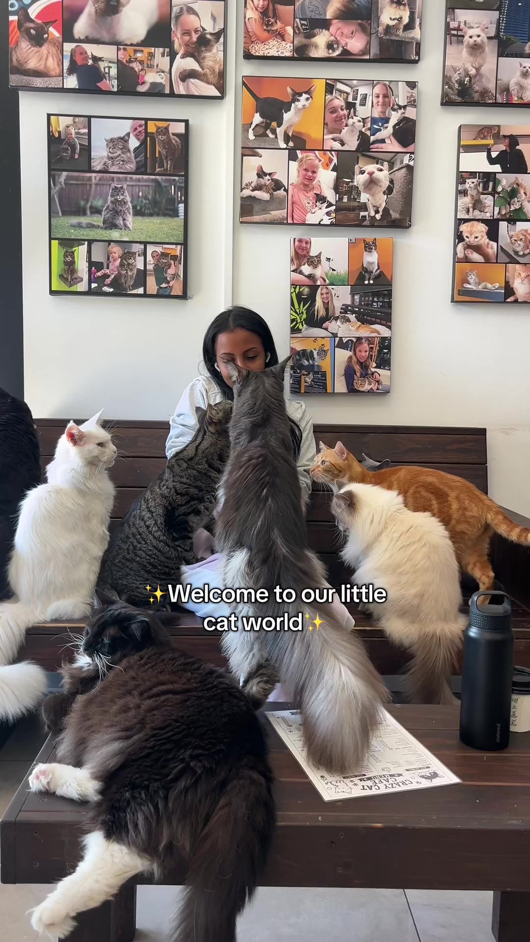 @crazycatcafe