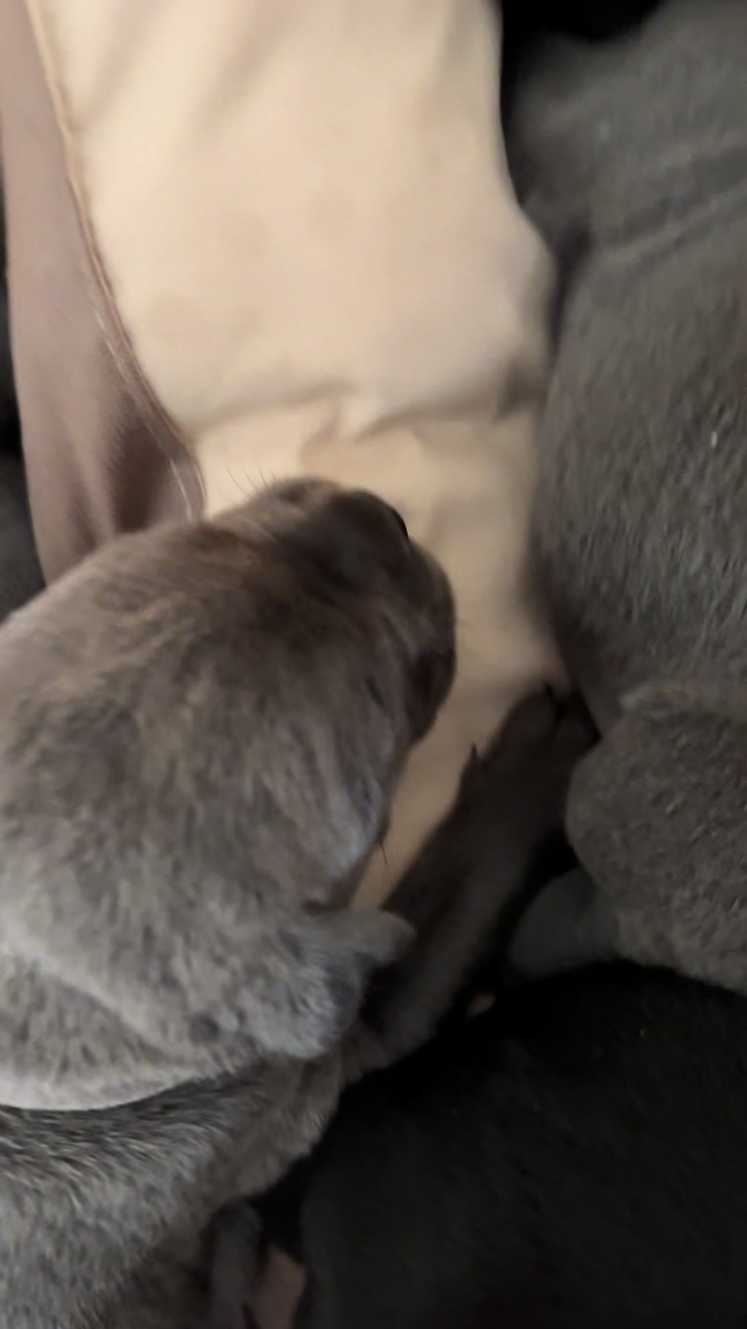@𝐌𝐀𝐑𝐂𝐈