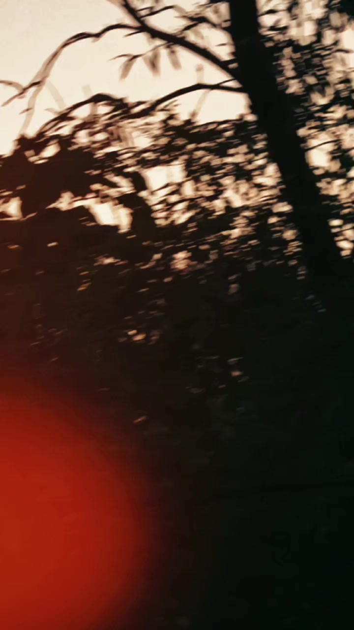 @Nadii Khan 🖤
