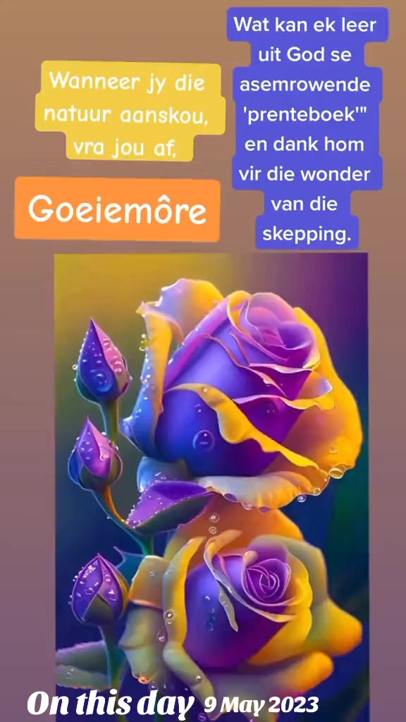 @MarthieSasnowske