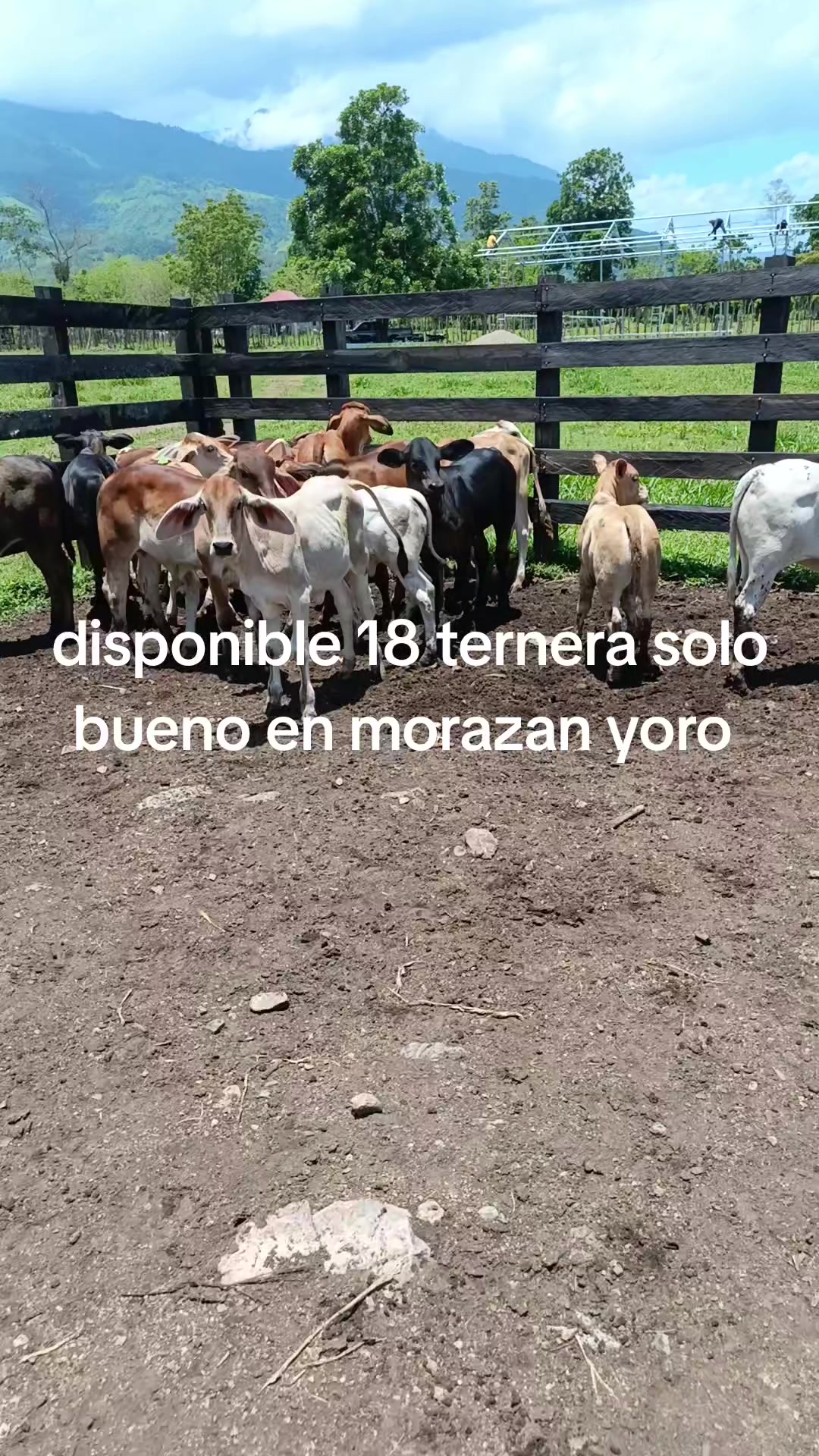 @maykel Mej&iacute;a