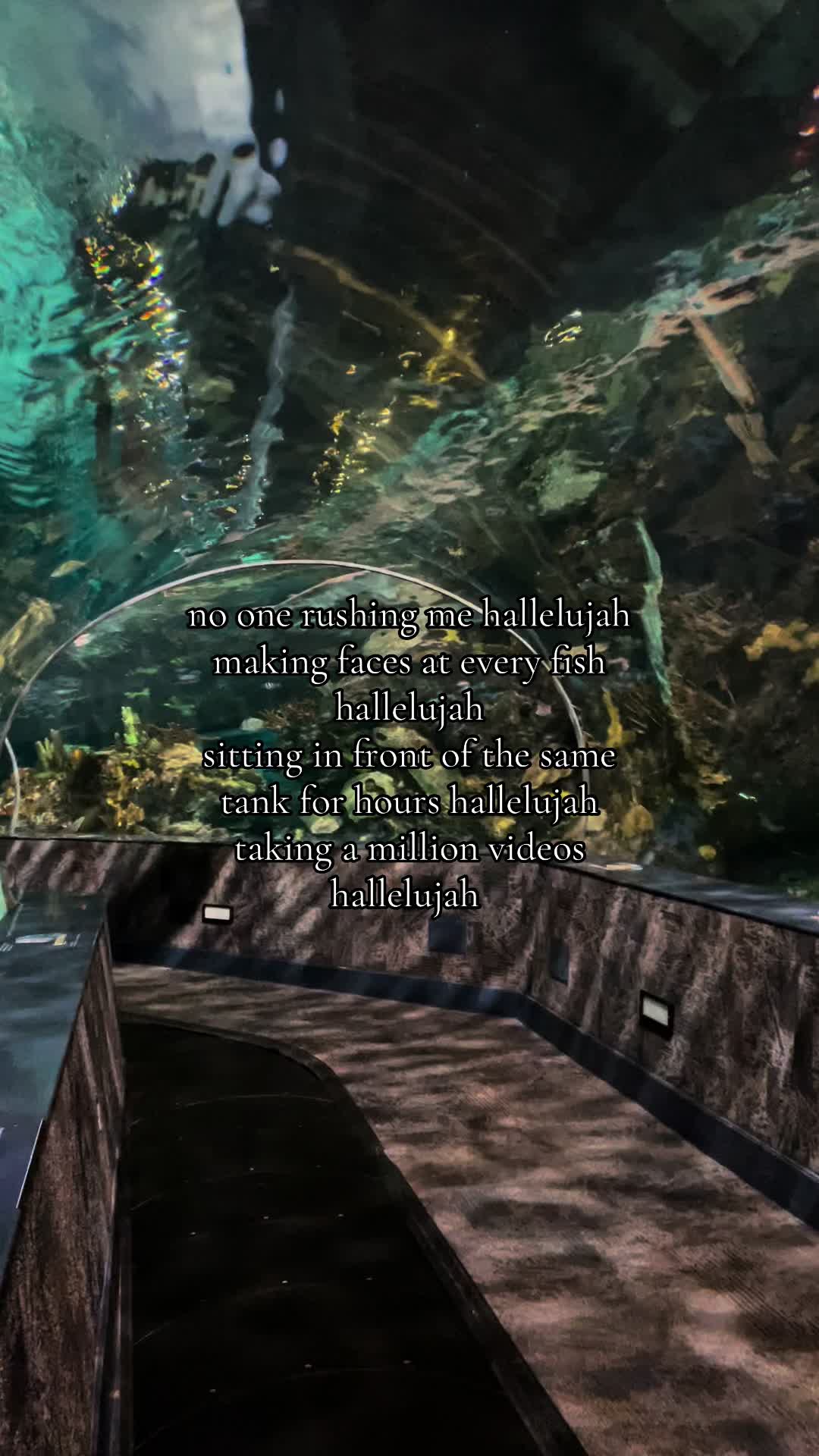 @marinebiotok🪸🤿