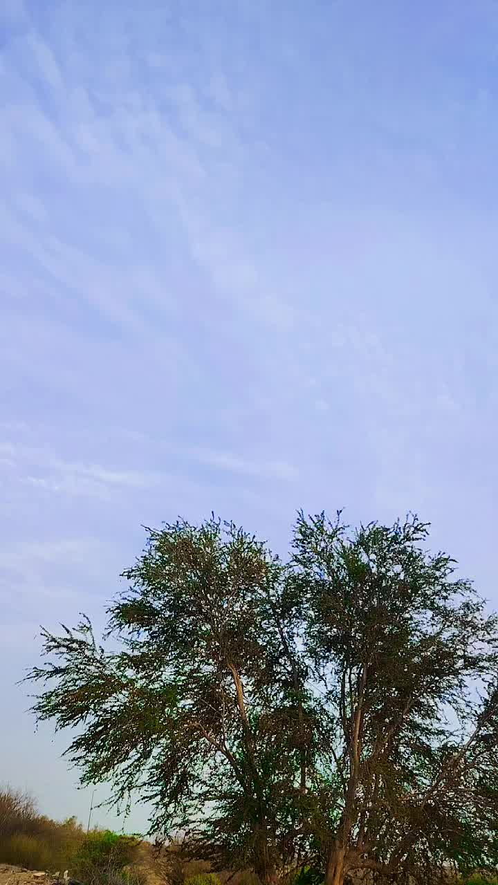 @نجم الظلام