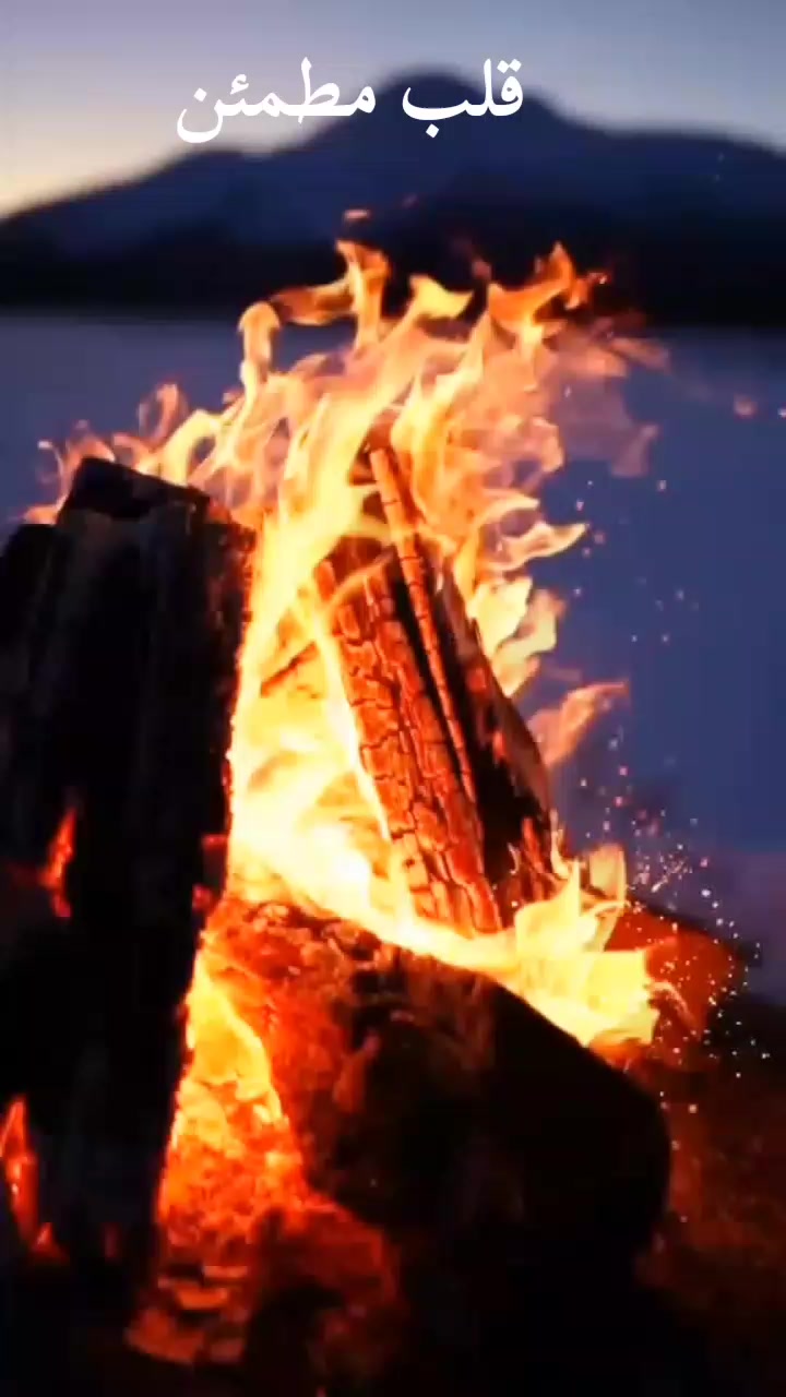 @رحلة الفكر