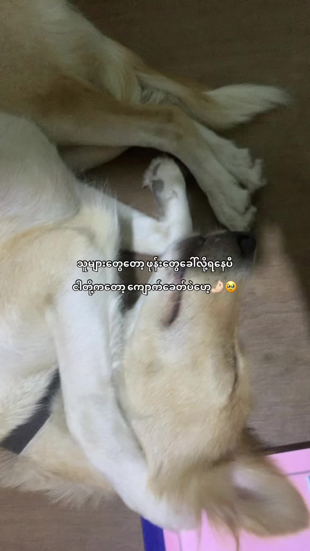 @ᴡɪʟʟᴏᴡ_ʙʀᴏᴏᴋʟʏɴ