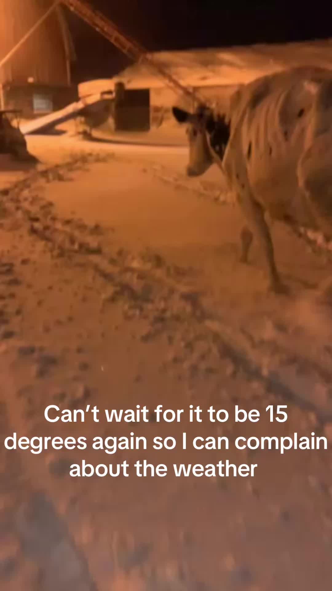 @Brielle Bjork