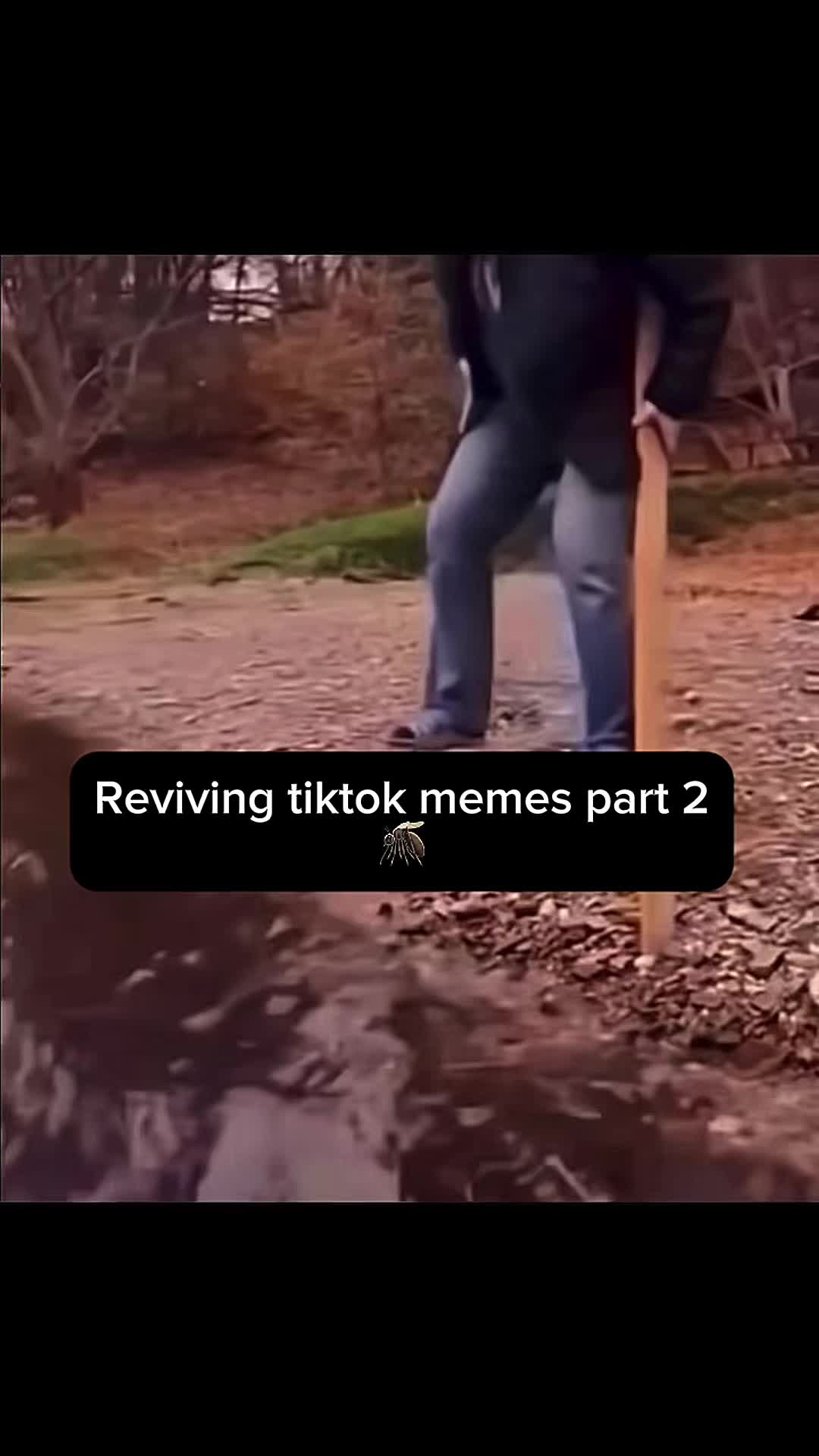 @V2Memes