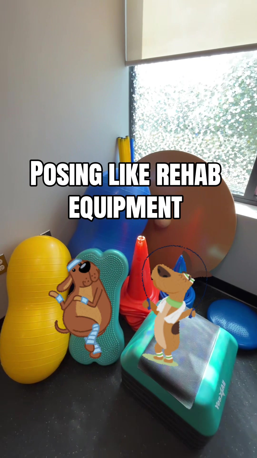 @BW.K9.Rehab🇨🇦