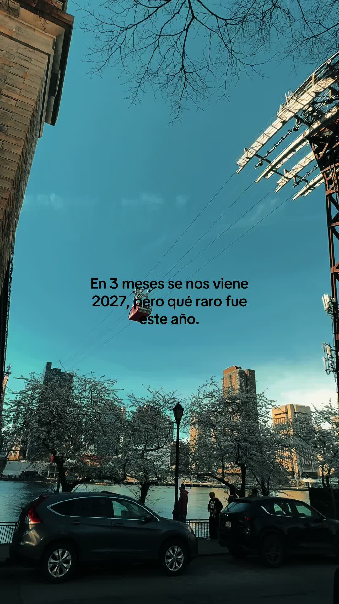 @Liliana Merino