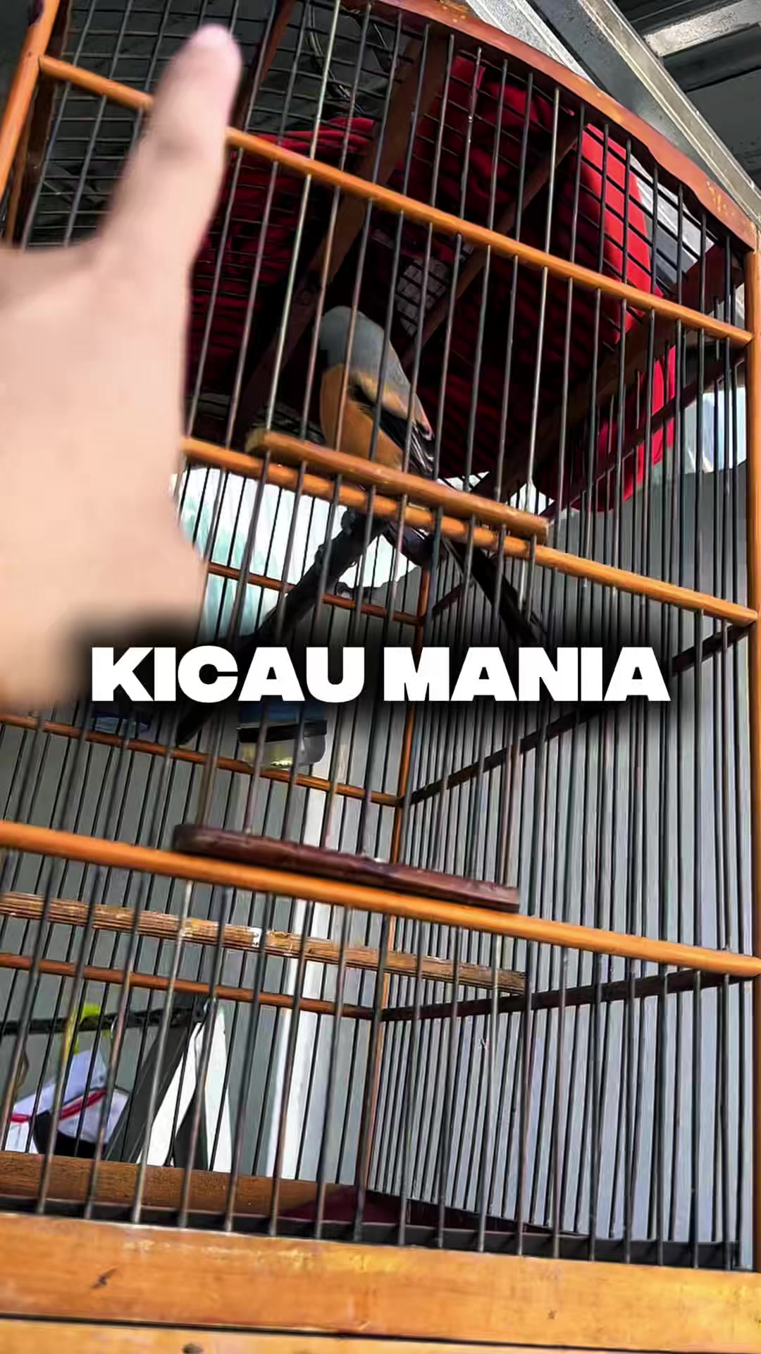 @Denny Aprisani