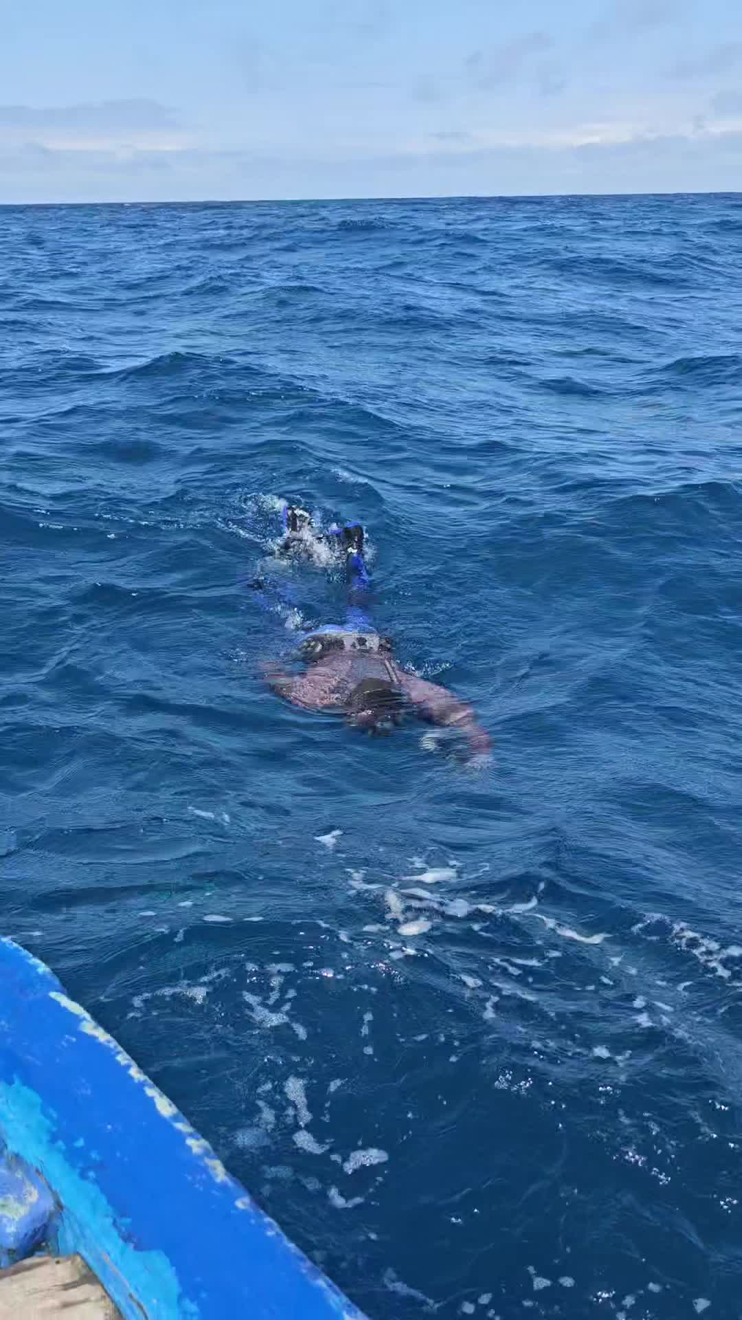 @Chasse Sous-Marine B&eacute;nin