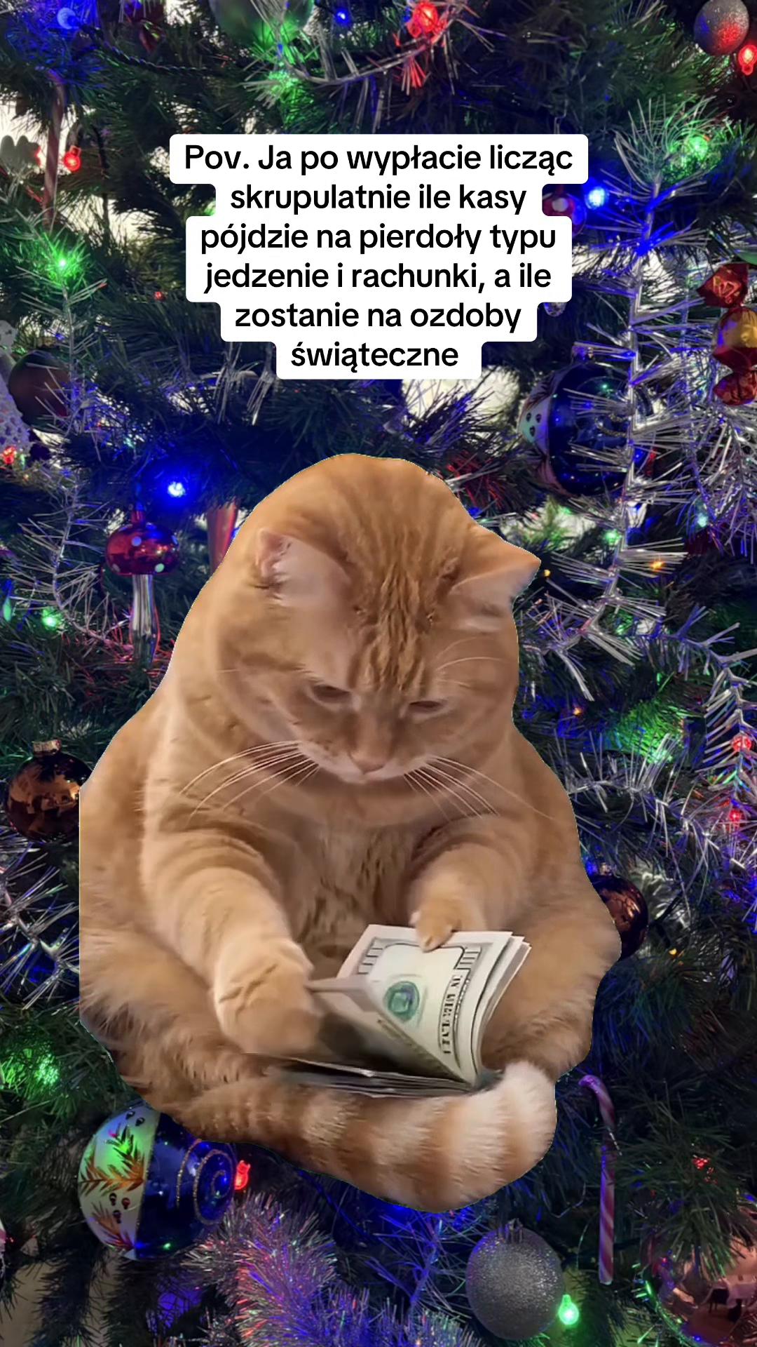 @hejmoniu