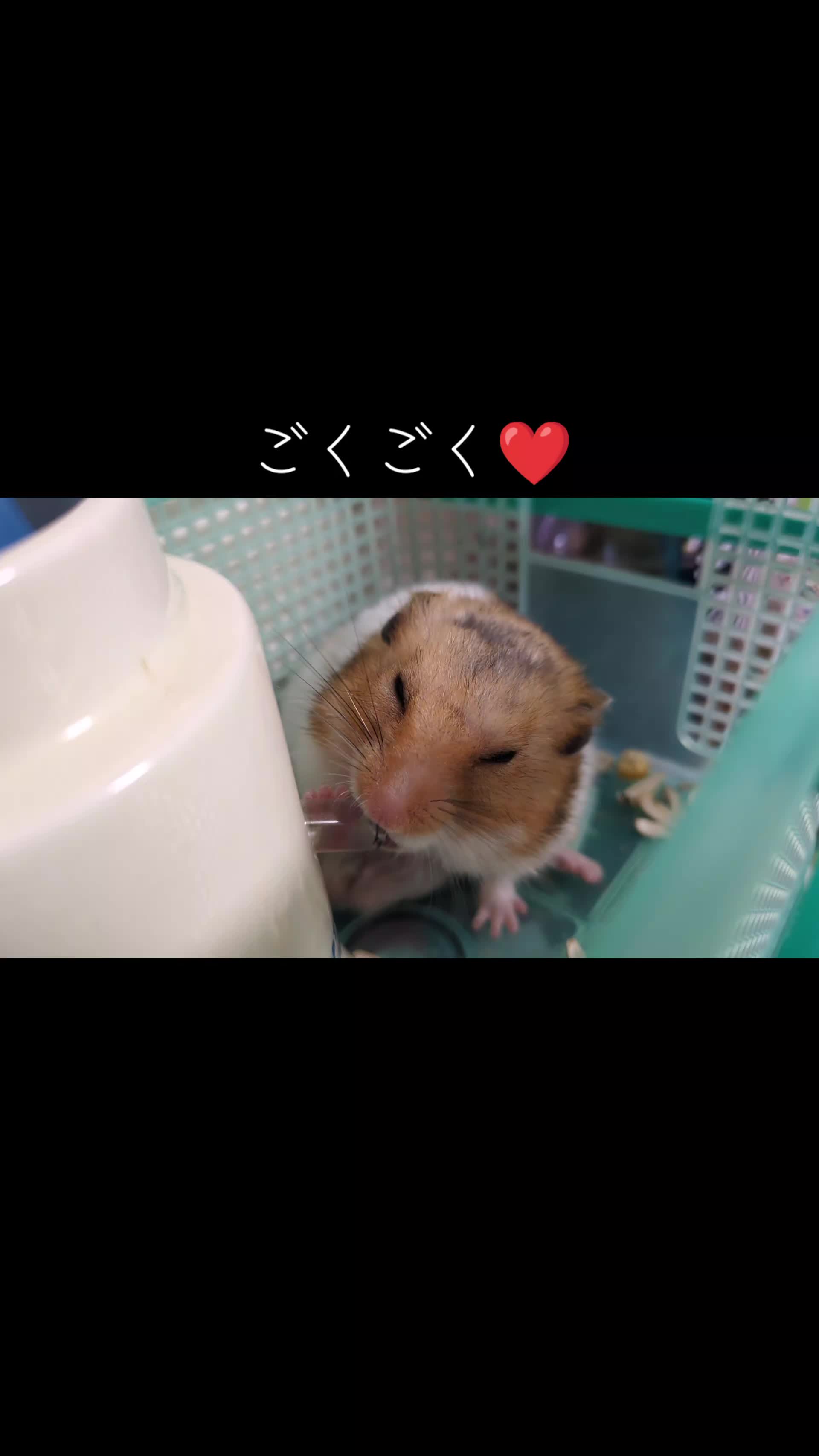 @๐นใใใก๐น
