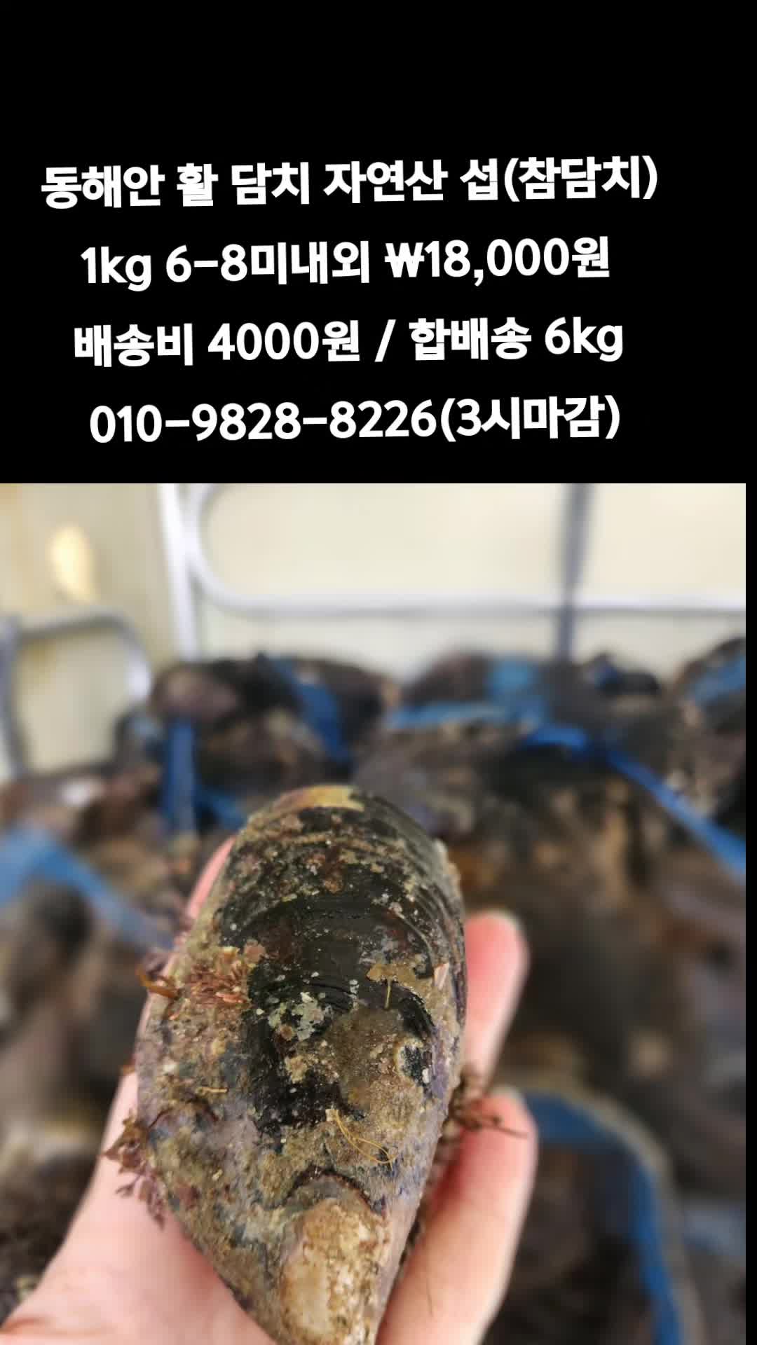 @똑손