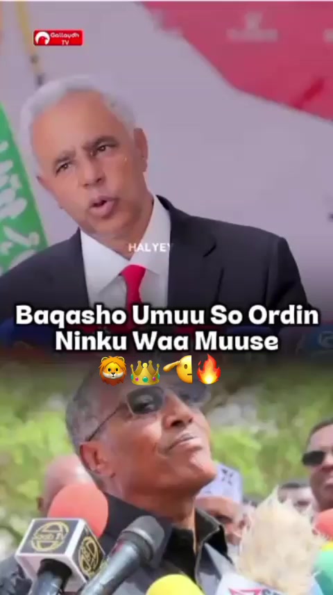 @๐๐๐๐๐๐_๐๐๐๐โ
๐Bโธโธ๐ฆ