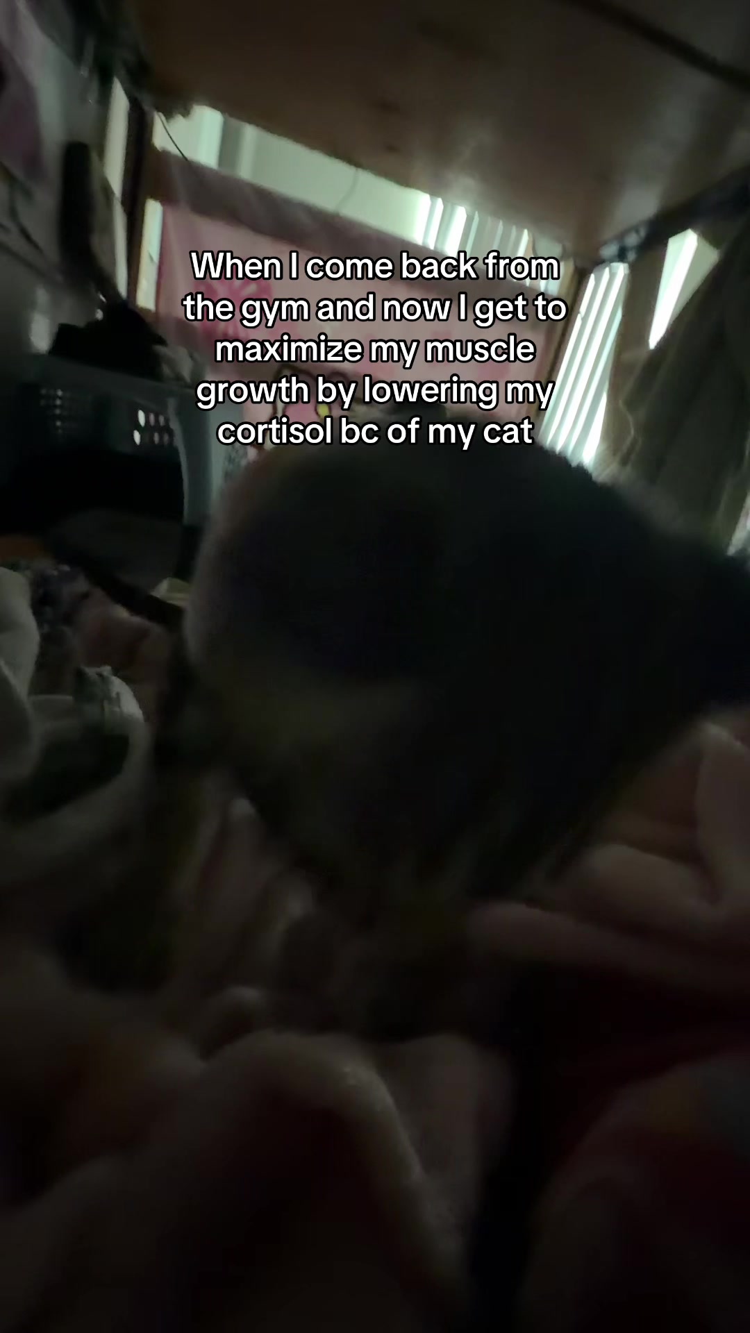 @Cat 🇧🇷