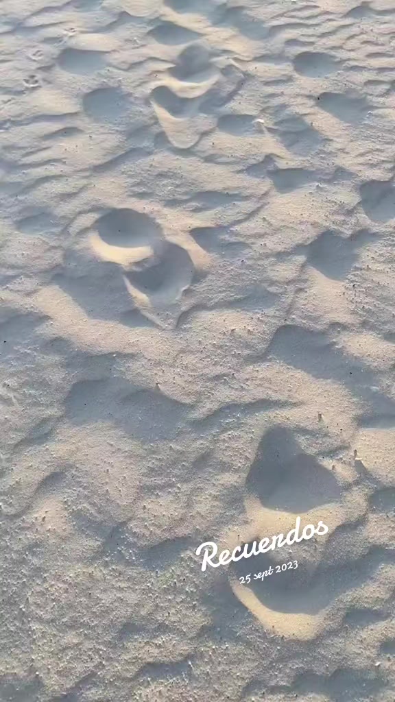 @markitos