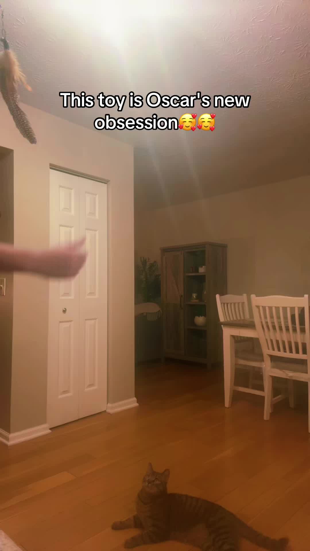 @IamNoahBrendan