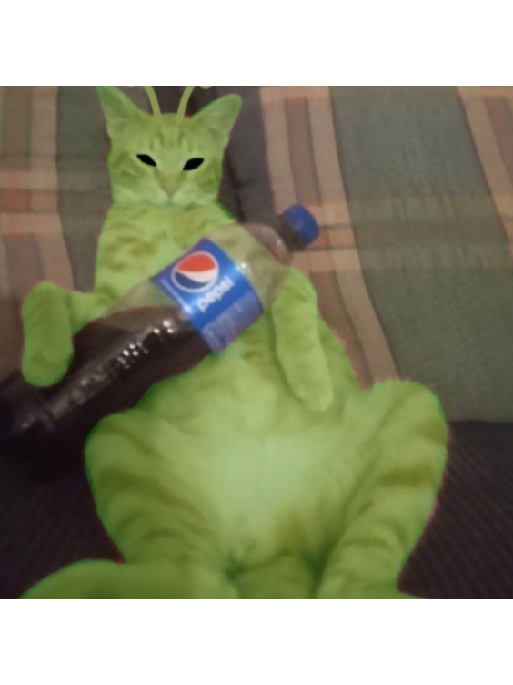 @𝔗 𝔞𝔪 𝔞𝔩𝔦𝔢𝔫 👽🫩