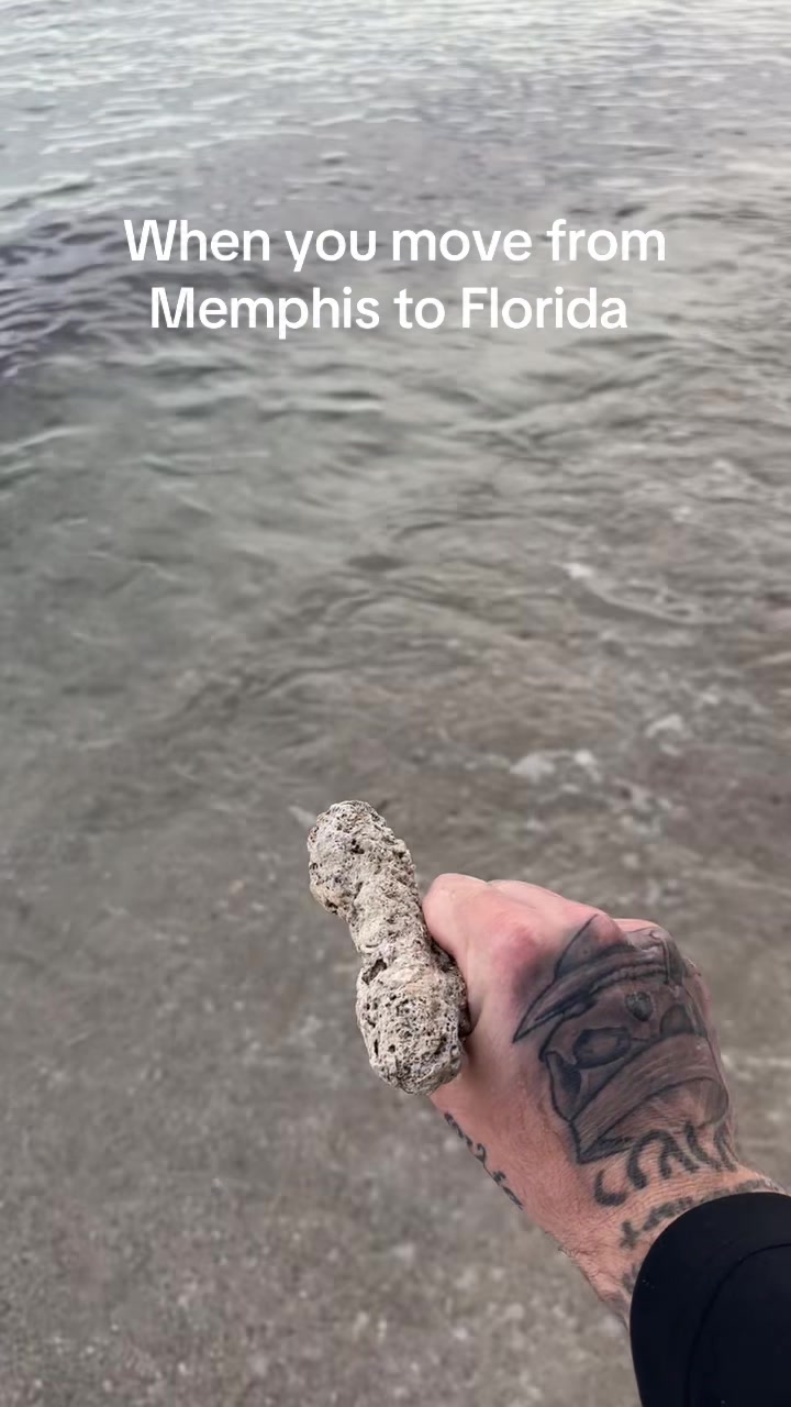 @tmhmmaceo