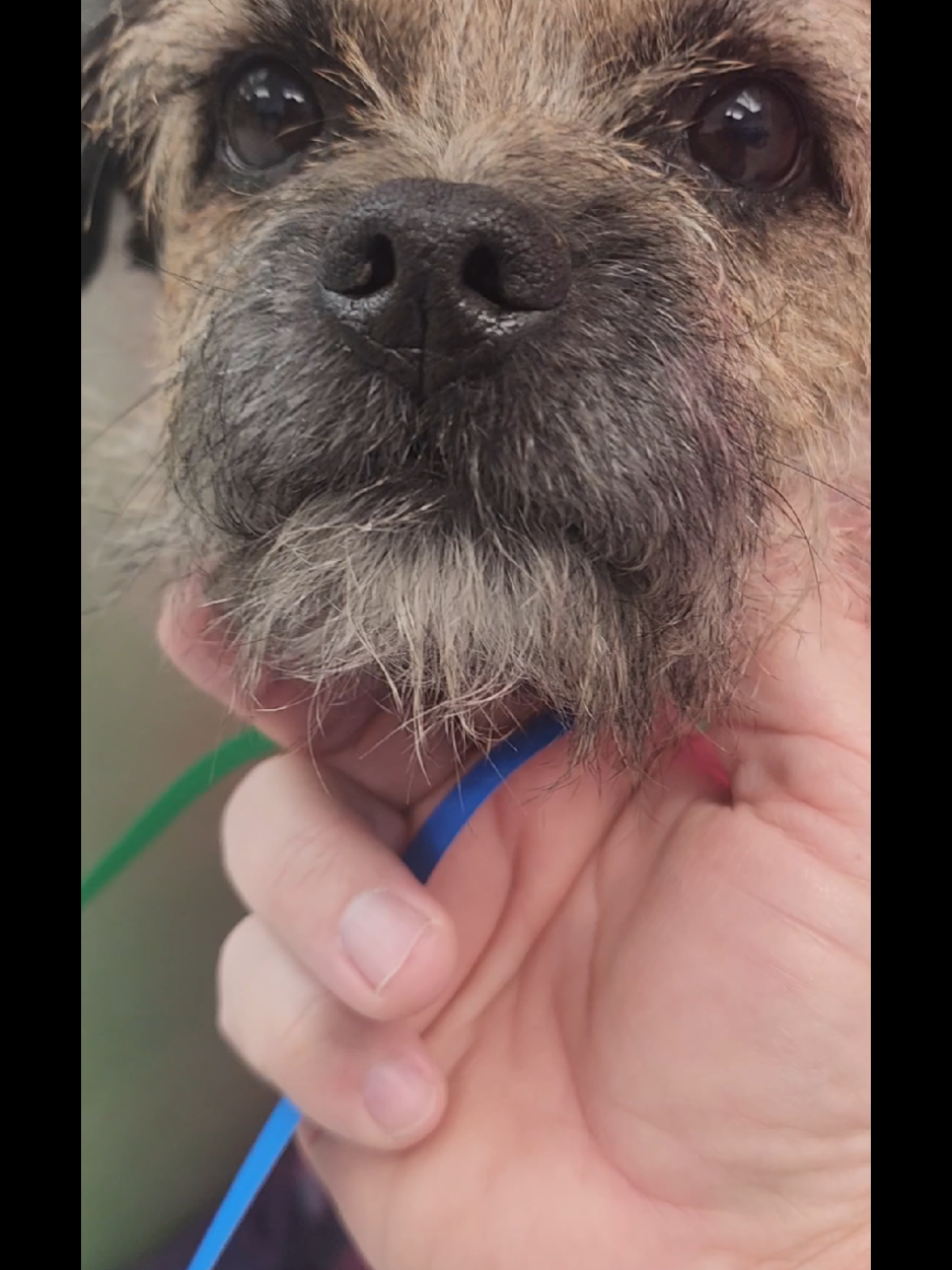 @familypethealth