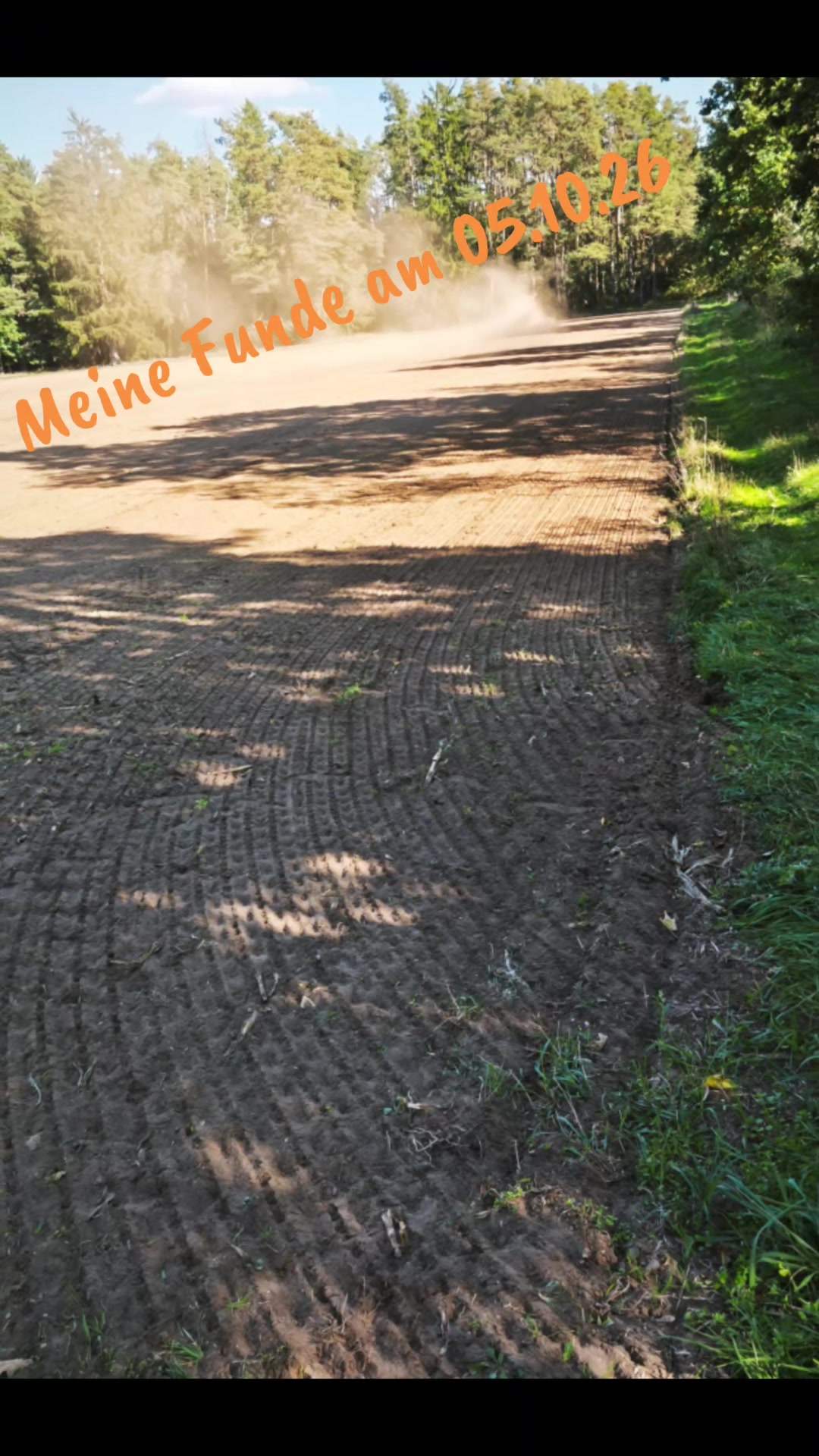 @Mely's Roxy 🐕💔SondelDrache🐉