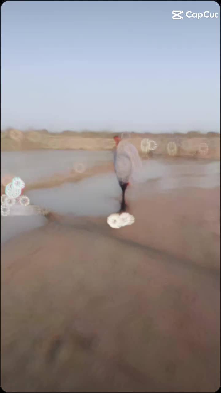 @WasimJaani