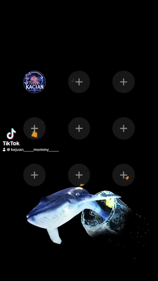 @Kacian 🩵🤍