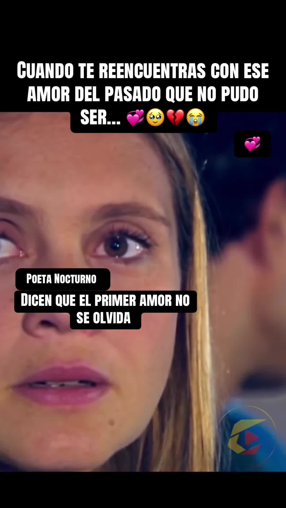 @Poeta Nocturno 503