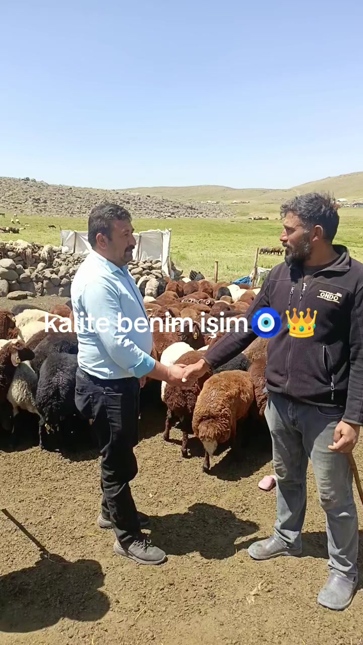 @NEVROZ KARATAY