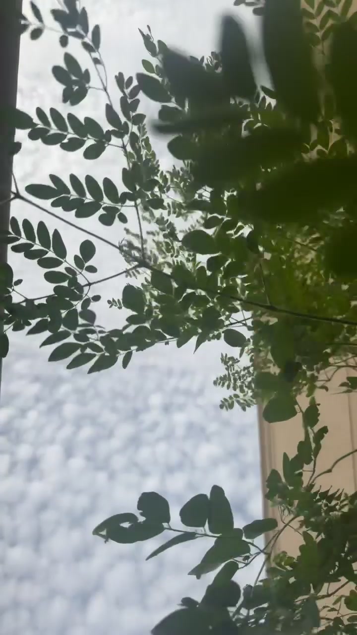 @🥹