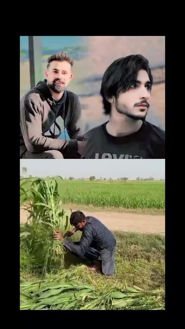 @MR JANI 0008
