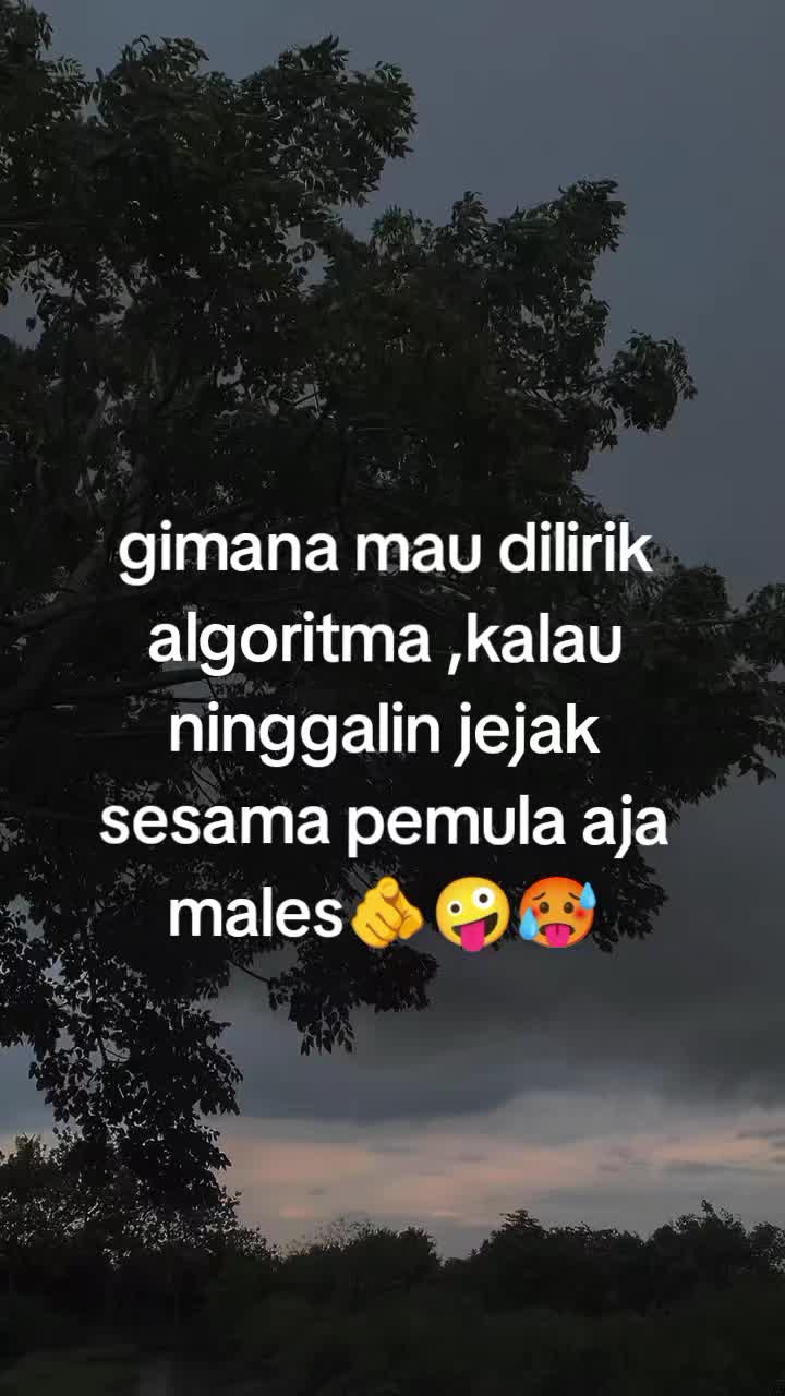 @_panzz13