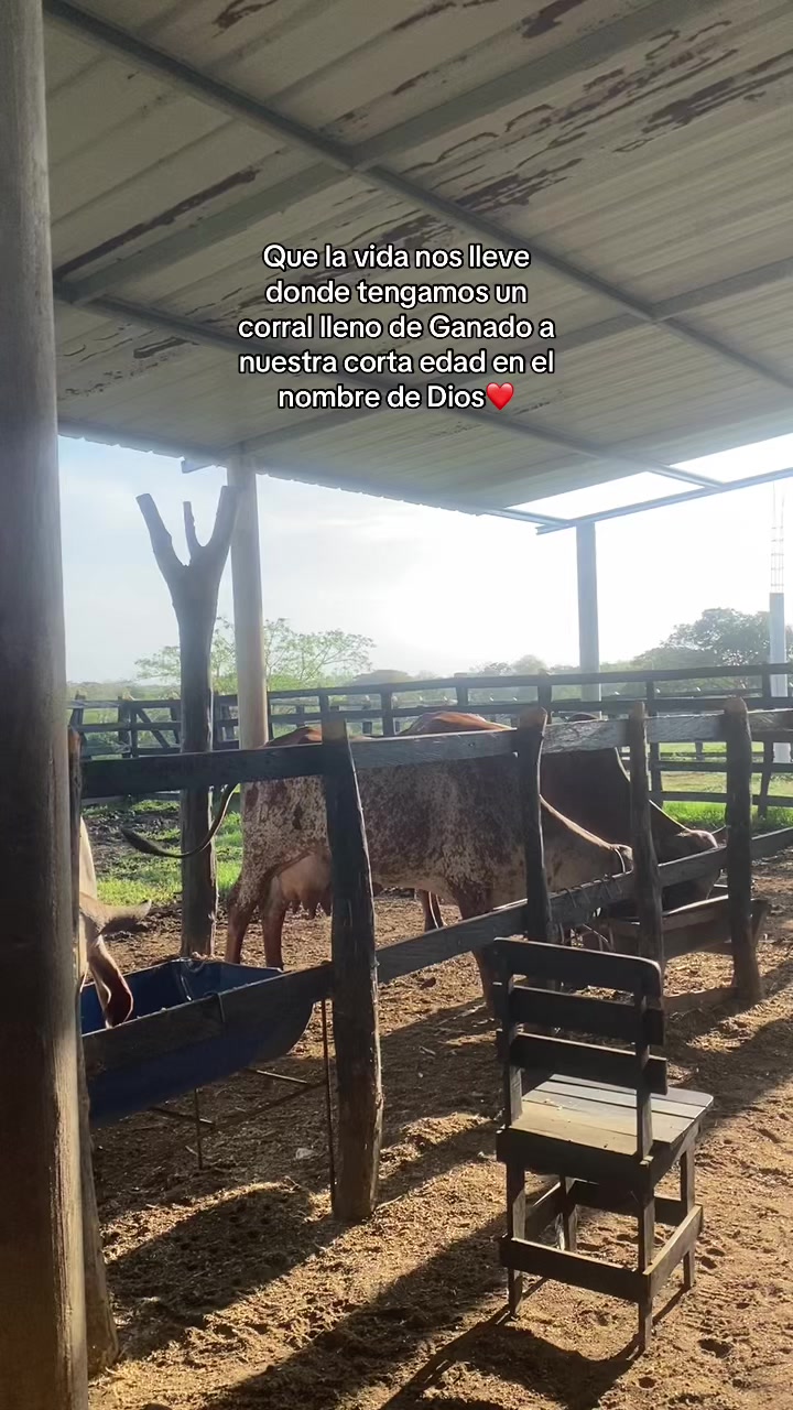 @Castañeda Rubio🐎