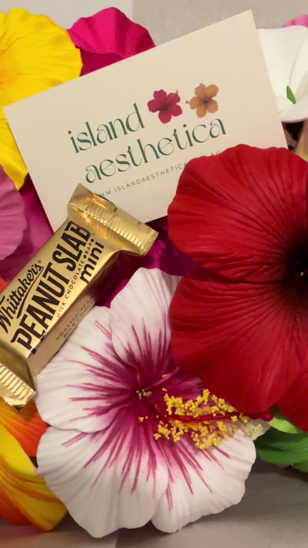 @Island Aesthetica 🌺