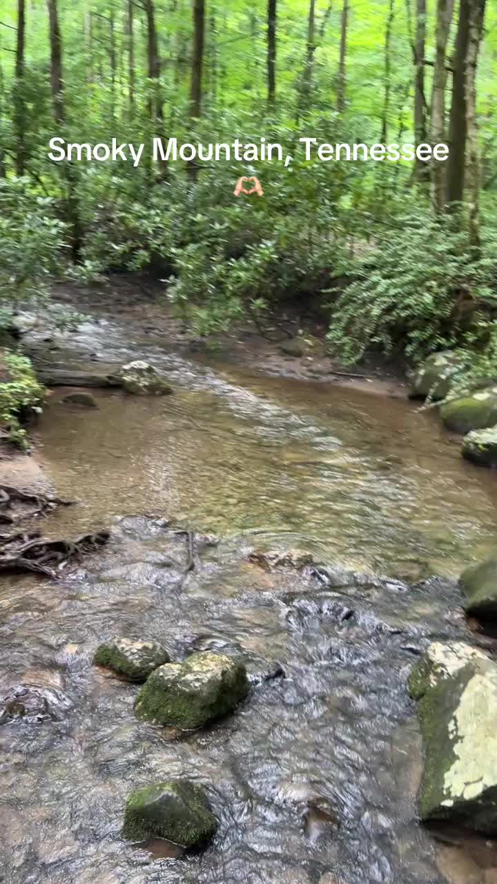 @Rakshya 🫰