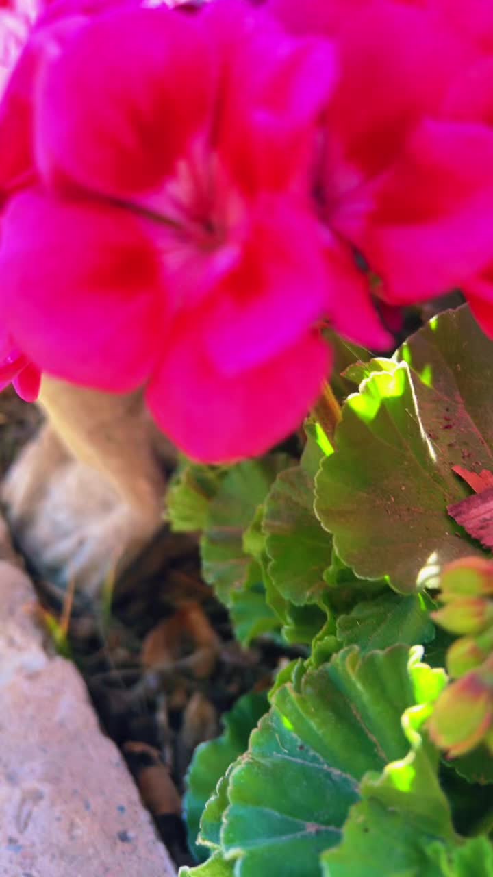 @boquete_byvictor💐