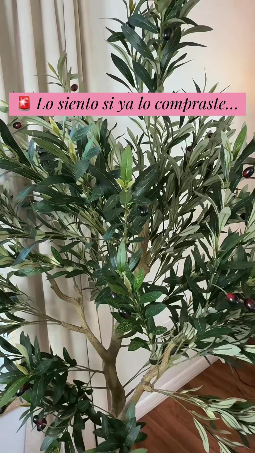 @Lifestylebyolgui