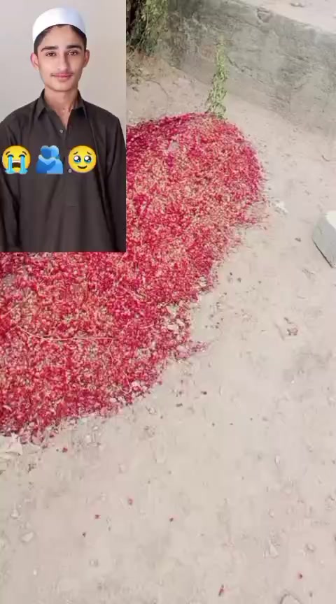 @👑ستی بادشاہ ۱ 👑