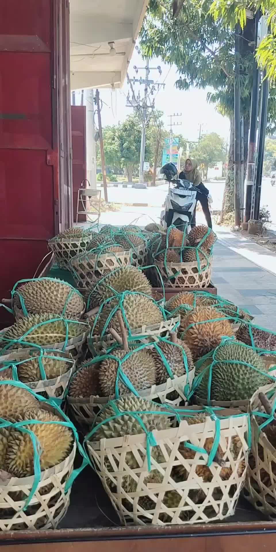 @Kenzhi Durian Tuban